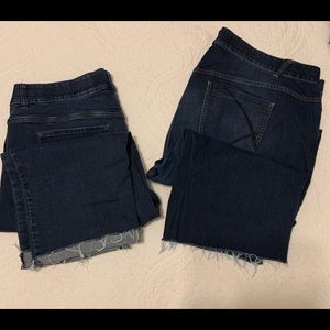 Lane Bryant Cutoff Jeans